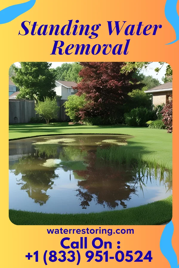 Standing Water Removal in Bryce Canyon City, UT